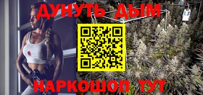 Альфа ПВП Ставрополь