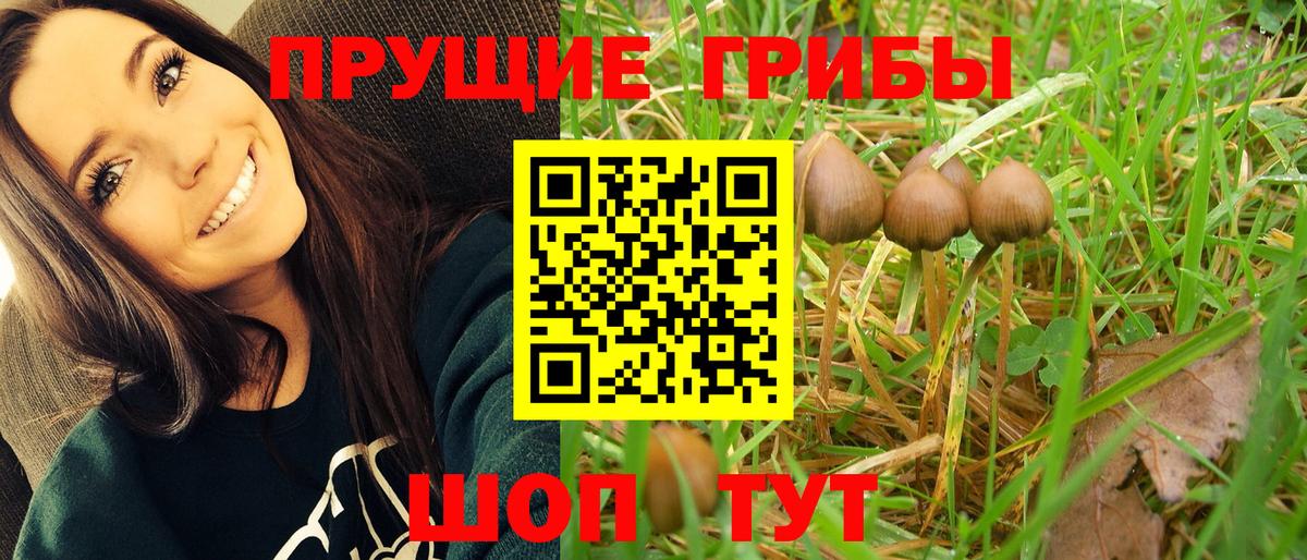 Саянск  Галлюциногенные грибы Magic Shrooms  Вход с VPN  Псилоцибиновые грибы мухоморы 